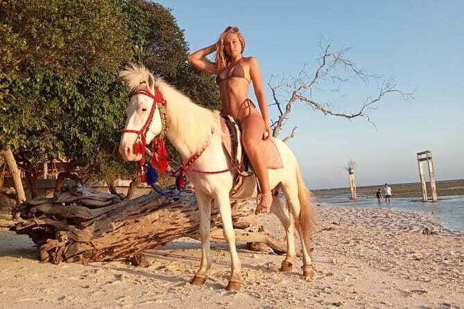 Gili Trawangan Beach Horseback Riding with Pickup Hotel - FAQ  