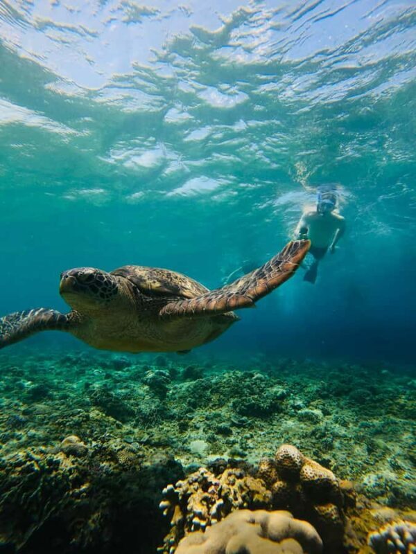 Gili Trawangan: Cycling Tour with Snorkeling and Viewpoint - What to Expect from the Tour