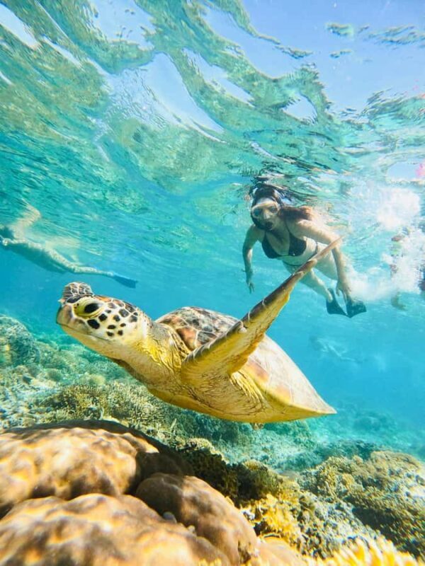 Gili Trawangan: Cycling Tour with Snorkeling and Viewpoint - Practical Details and Tips