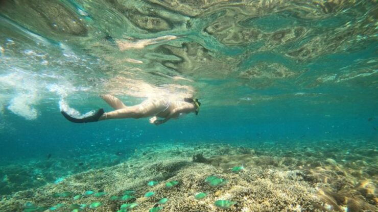 Gili Trawangan: Gili Island 3 Spots Snorkeling With Turtle - Snorkeling Spot 1: Turtle Haven