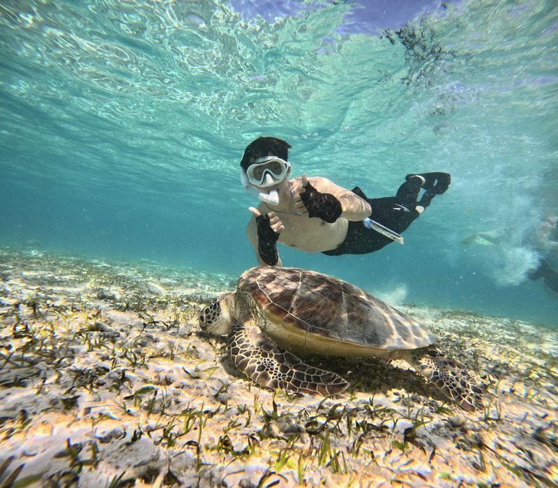 Gili Trawangan, Gili Meno, and Gili Air Snorkeling Tour from Bali - At a glance