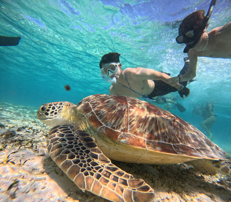Gili Trawangan, Gili Meno, and Gili Air Snorkeling Tour from Bali - How the long day is put together