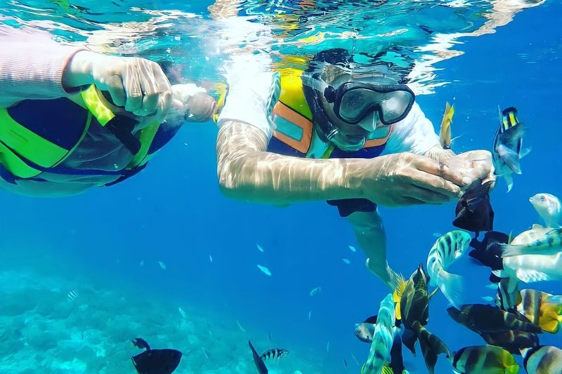 Gili Trawangan, Gili Meno, and Gili Air Snorkeling Tour from Bali - What the price includes, and what it does not
