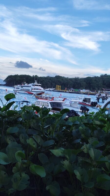 Gili Trawangan, Gili Meno, and Gili Air Snorkeling Tour from Bali - Who should book this trip