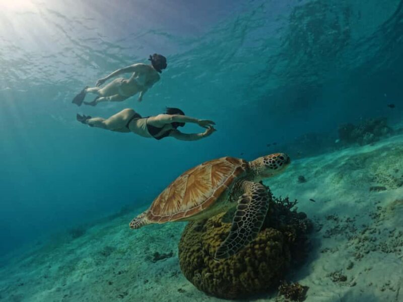 Gili Trawangan: GoPro Hero 12 Rental - The Bottom Line: Is It Worth It?