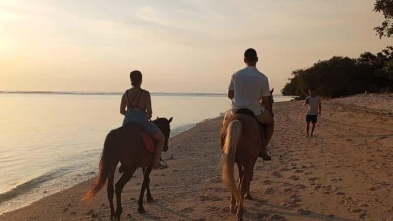 Gili Trawangan: Horse Riding on the Beach - Good To Know