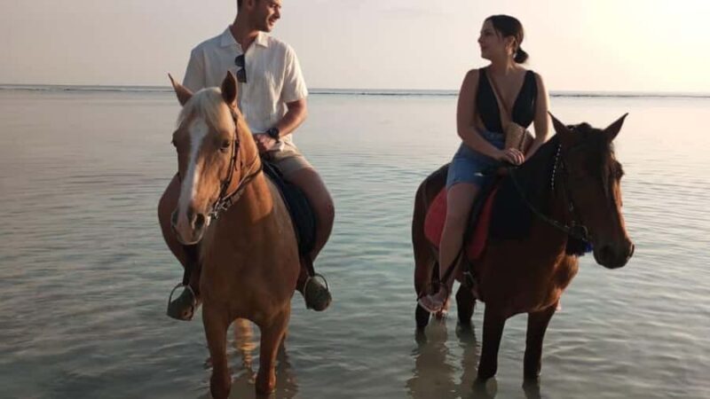 Gili Trawangan: Horse Riding on the Beach - An Overview of the Horseback Beach Ride Experience