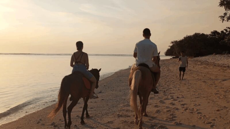 Gili Trawangan: Horse Riding on the Beach - The Authentic Touch: Reviews from Travelers