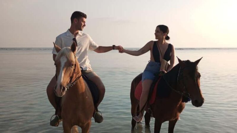 Gili Trawangan: Horse Riding on the Beach - The Sum Up