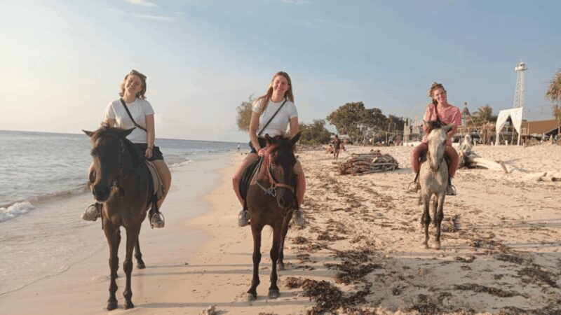 Gili Trawangan: Horse Riding on the Beach - FAQ