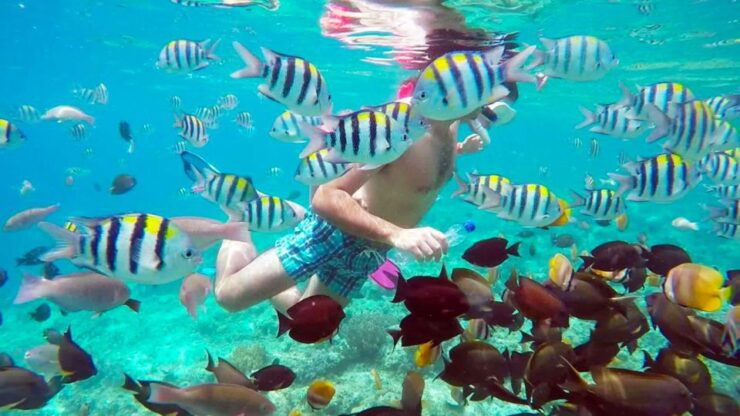 Gili Trawangan: Islands Hopping Snorkeling Trip - Experience Highlights
