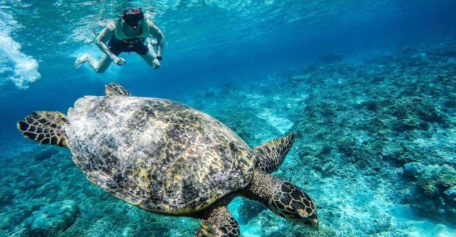 Gili Trawangan: Islands Hopping Snorkeling Trip - Customer Reviews