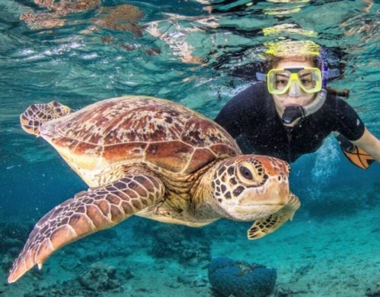 Gili Trawangan Lombok Day Tour Package - Cancellation Policy