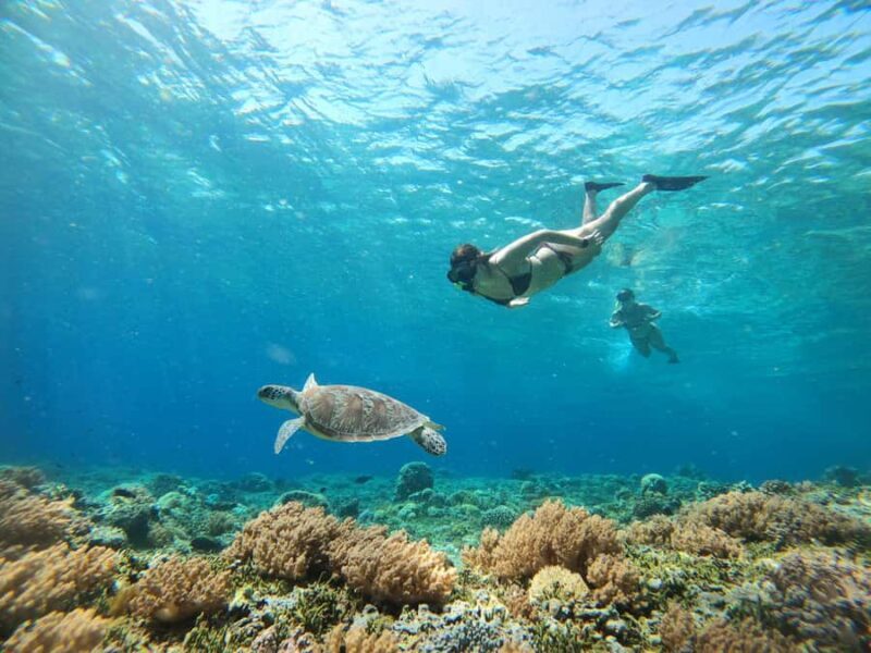 Gili Trawangan: Private Snorkeling (Coral, Statues, Turtles) - Deep Dive into the Itinerary
