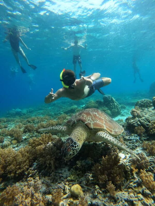 Gili Trawangan: Private Snorkeling (Coral, Statues, Turtles) - Who Will Love This Tour?