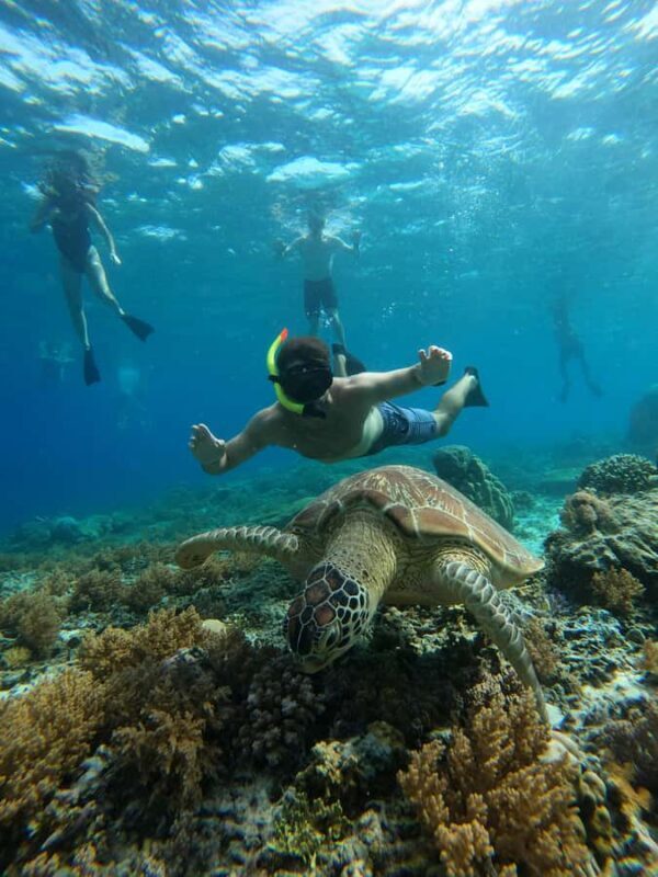 Gili Trawangan: Private Snorkeling (Coral, Statues, Turtles) - What Makes This Snorkeling Tour Stand Out?