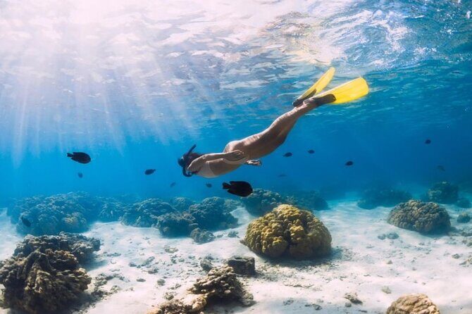 Gili Trawangan : Private Snorkeling with 3 spots or 4 spots - Introduction to the Gili Trawangan Snorkeling Experience