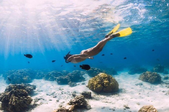 Gili Trawangan : Private Snorkeling with 3 spots or 4 spots - Authentic Experiences from Reviewers