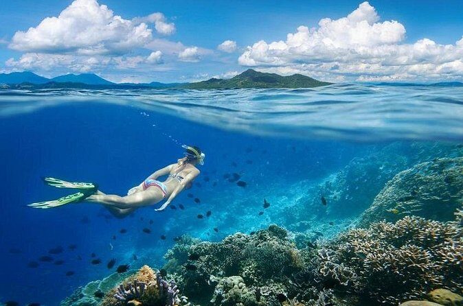 Gili Trawangan : Private Snorkeling with 3 spots or 4 spots - The Sum Up
