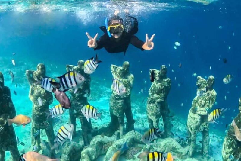 Gili Trawangan: Public Snorkeling Tour with Turtles and BBQ - Good To Know