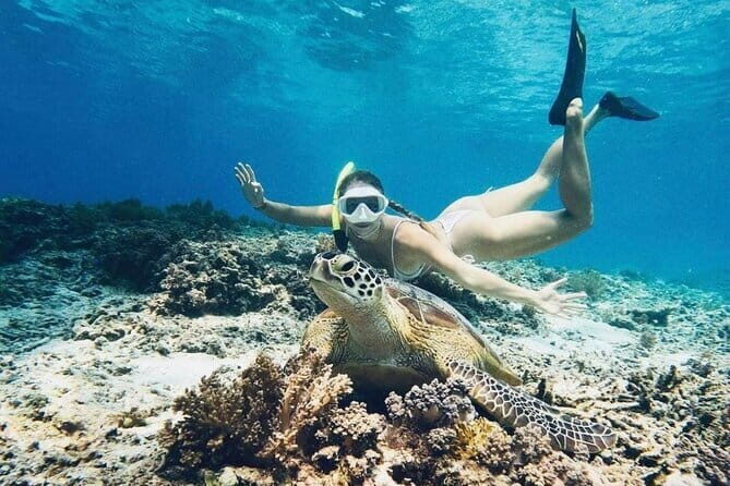 Gili Trawangan Snorkeling with Turtles & Underwater Statue - Good To Know