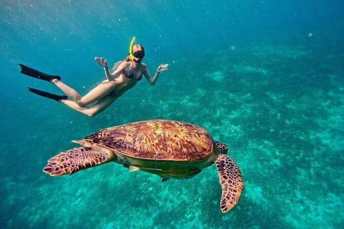Gili Trawangan Snorkeling with Turtles & Underwater Statue - Breakdown of the Itinerary: What You Can Expect