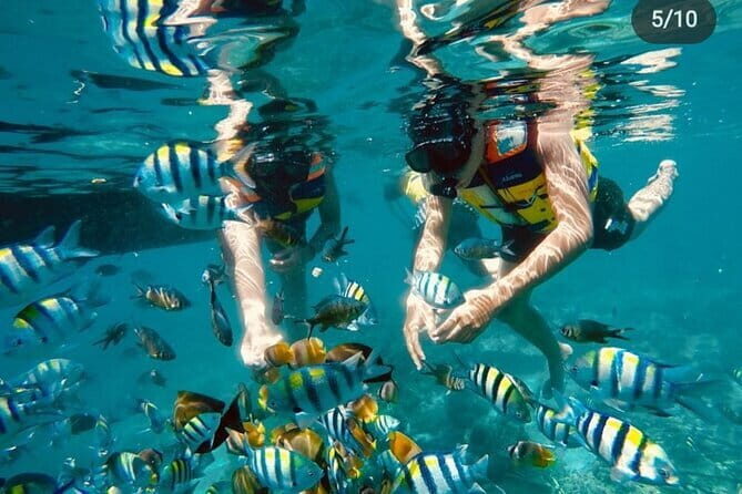 Gili Trawangan Snorkeling with Turtles & Underwater Statue - The Experience from the Traveler’s Perspective