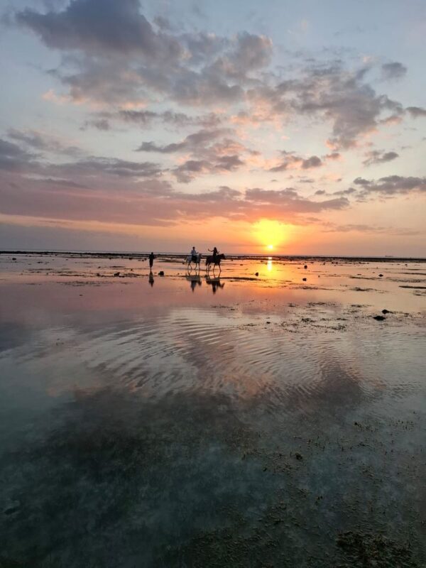 Gili Trawangan Sunset or Sunrise Beach Horse Riding Experience - Photos, guides, and the human side of the outing