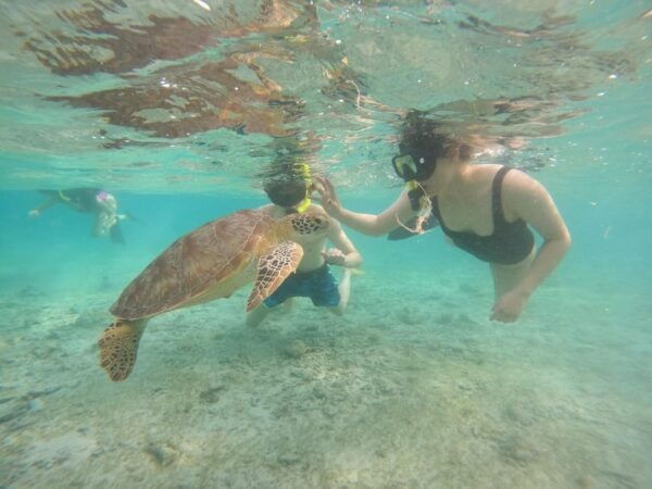 Gilitrawangan:Private Tour 3 Spot: Statue,Coral Reef,Turtle - Booking Information and Policies