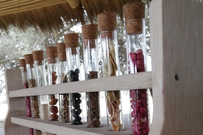 Gin and Rum Distillery Tour - Tour Overview