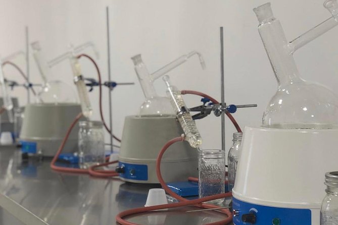 Gin Making Experience - Tasting Different Types of Gin