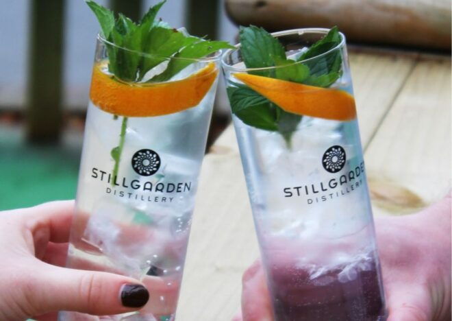 Gin School, Distill You Own Gin, Cocktails, Tastings, Food - Highlights