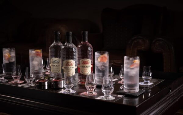 Gin Tasting Experience With a Perfect Serve - Distillerys Botanical Secrets