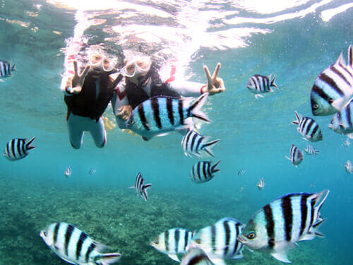 Ginowan Marine Sports (Okinawa) - Should you book Ginowan Marine Sports?