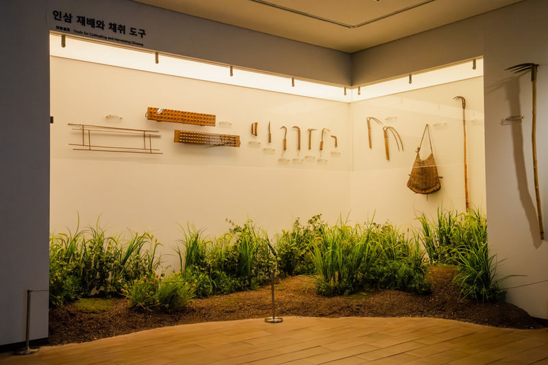 Ginseng Museum Entry Ticket with Tea Tasting - Tea Tasting Turns the Lesson Into a Sensory One