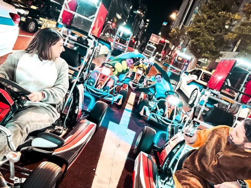 GINZA: Go Kart Experience with NEO GINZA - The Sum Up