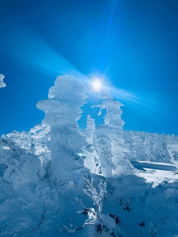 Ginzan Onsen + Yamagata Winery + Zao Ropeway + Mogami River Snow Viewing Boat 2-Day Tour (Hot spring hotel with 2 meals) - Ginzan Onsen: a glimpse of a snowy hot spring town