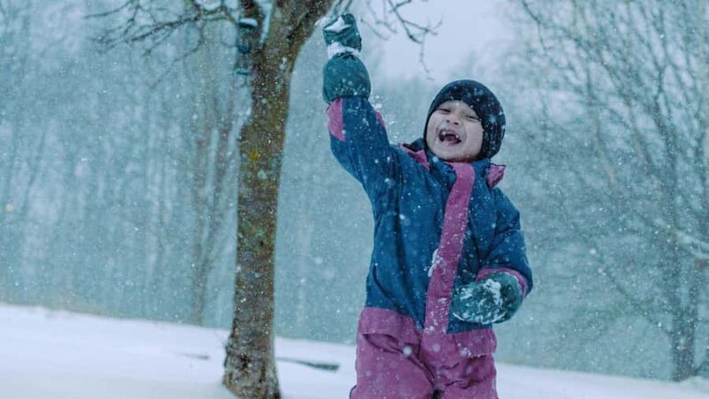 Ginzan Onsen &Zao Snow Monsters Winter 2-Day Tour From Tokyo - The Second Day: Discovering Edo-Period Charm