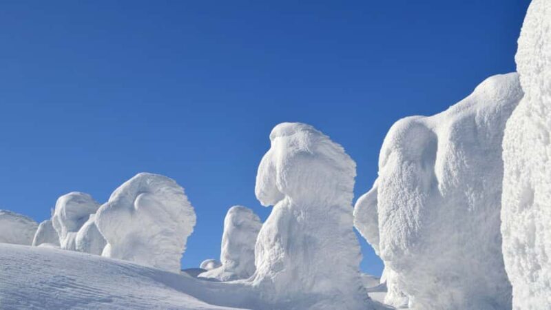 Ginzan Onsen &Zao Snow Monsters Winter 2-Day Tour From Tokyo - Final Thoughts