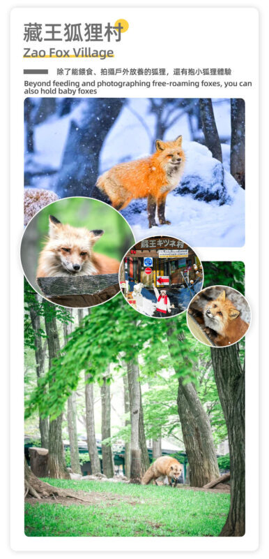 Ginzan Onsen & Zao Snow Monsters & Zao Fox Village 2-Day Tour - What the price includes, and what it does not