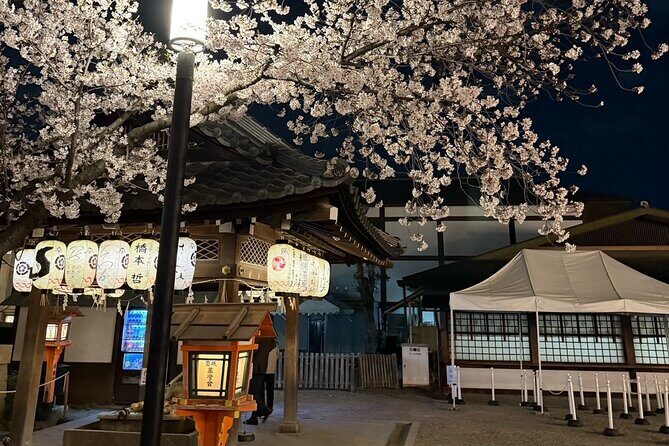 Gion Area Night Walking Private Tour ~Custom-made Tour~ - Good To Know