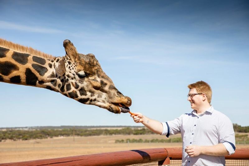 Giraffe Safari Experience and A Day at Monarto Safari Park - The useful details at a glance
