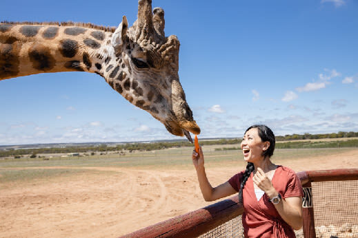Giraffe Safari Experience and A Day at Monarto Safari Park - Is the price good value?