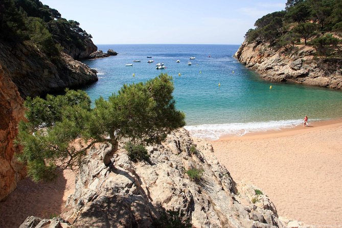 Girona and Costa Brava Small-Group Tour With Hotel Pickup From Barcelona - What to Expect During the Tour