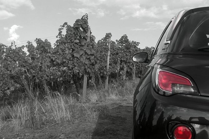 Girona and Wineries of Perelada Private Tour From Barcelona - What to Expect