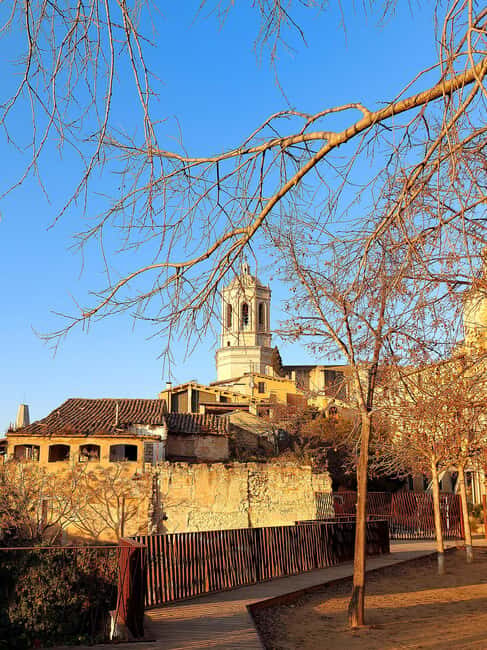 Girona: Jewish Heritage Tour with Museum Entry - FAQ