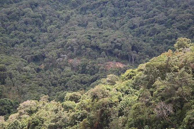 Gishwati Natural Forest in Rwanda & Lake Kivu Tour - Tour Schedule