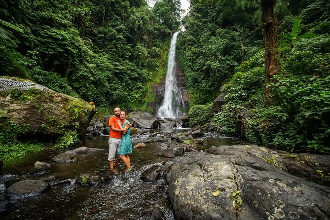 Gitgit and Alingaling Waterfalls Private Group Tour - Full Day - Pricing and Group Size Options