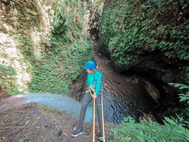 Gitgit Waterfall Bali: Canyoning Adventure with Lunch - Who Is This Tour Best For?
