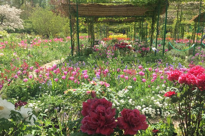 Giverny and Marmottan Monet Museum Private Day Trip From Paris - Monets House and Gardens in Giverny